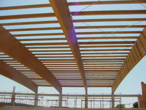 Copertura-con-travi-curve