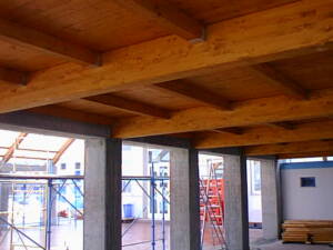 Struttura-in-legno-lamellare1